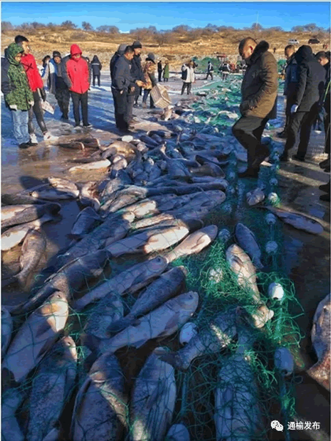 向海冬捕节拉开大幕!